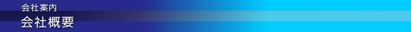 Company Profile 