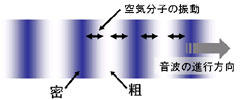 図1 音波の伝搬イメージ(粗密波)