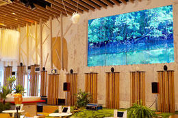 Cafe with good acoustics