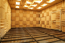 Full anechoic room