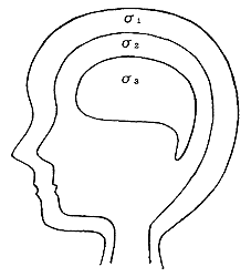 頭の多層構造モデル