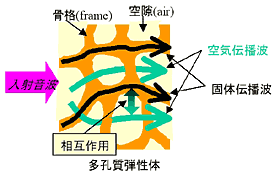 モデル概念図