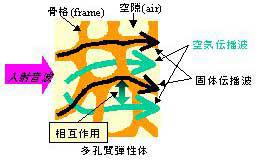 多孔質弾性材料中の音の伝搬のモデル図