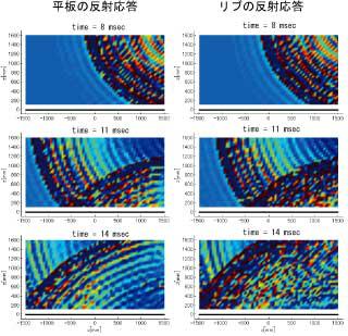 図2 平板とリブ構造の反射応答特性のスナップショット