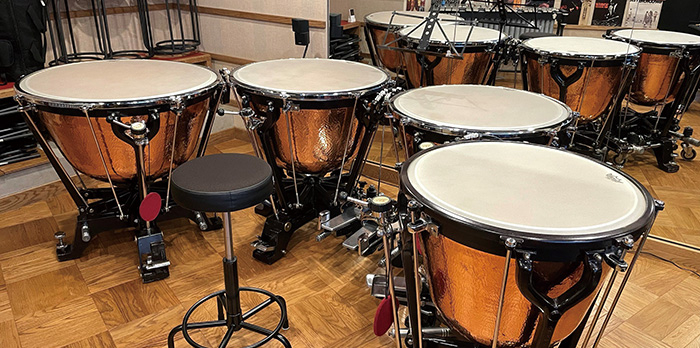 Timpani area